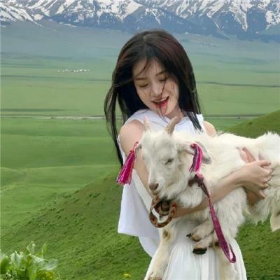 机灵丫鬟上青云