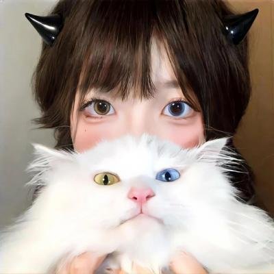 神兽金刚之超变星甲第二季